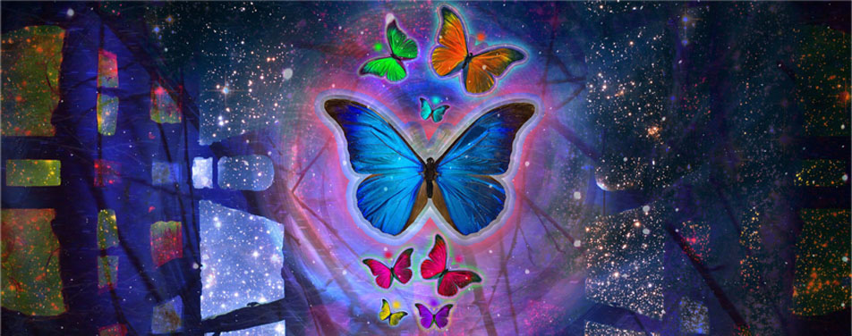 激活码商城的攻击网站在线工具